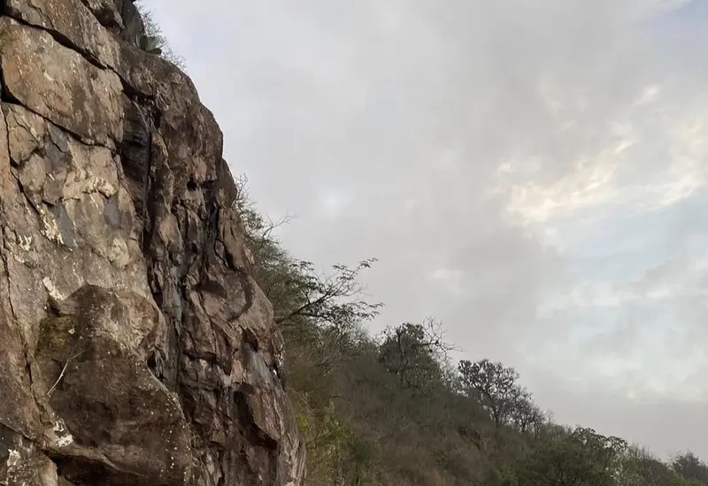 Un derrumbe de tierra causado por el temporal de lluvias en la sierra mixe-zapoteca, lo que podría dejar incomunicadas a algunas poblaciones.