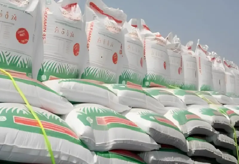 Sacos de fertilizante apilados, parte de las 803 mil toneladas que el programa gubernamental ha entregado para beneficiar a productores del campo.