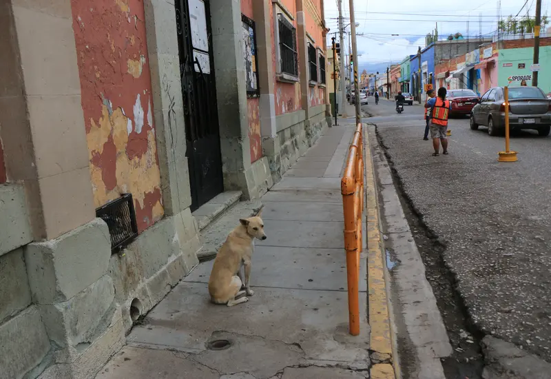 Escuelas en Oaxaca reciben nuevo equipo, mobiliario y uniformes como parte de una inversión millonaria para fortalecer la educación en el estado.