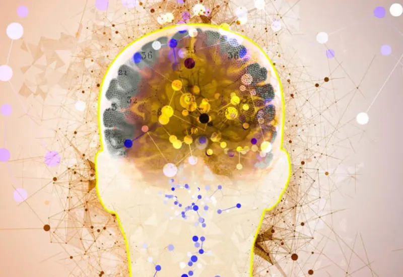 Una imagen que ilustra la comparación de células cerebrales de humanos, ratones y otras especies, como parte de la investigación de Oxford sobre complejidad cerebral.