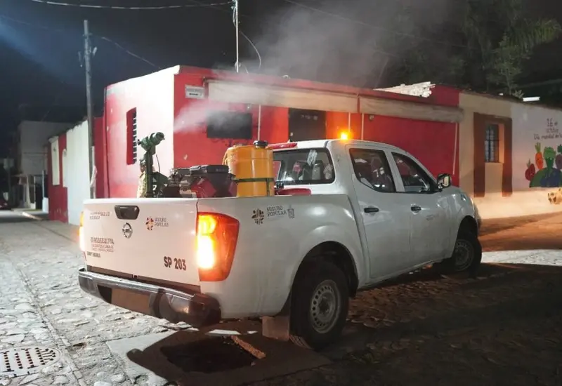 Una severa plaga de mosquitos afecta a los habitantes de Juchitán, quienes expresan su temor por un posible brote de dengue y chikungunya.
