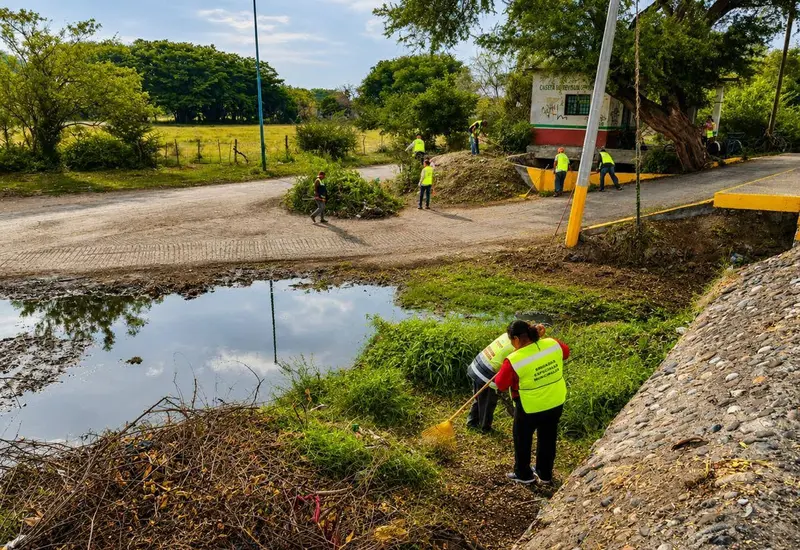 Personal realiza labores de desazolve, retirando basura y maleza de los drenes en zonas de alto riesgo de Juchitán para prevenir inundaciones.