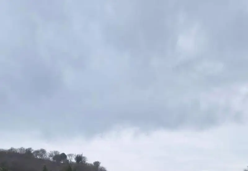 Una playa en la costa de Oaxaca amanece completamente cubierta de miles de sardinas varadas por el fenómeno de mar de fondo.