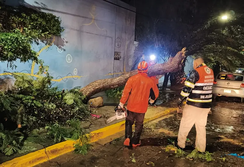 Personal de Protección Civil de Oaxaca de Juárez atendiendo la caída de árboles y otras emergencias provocadas por la fuerte lluvia en la capital.