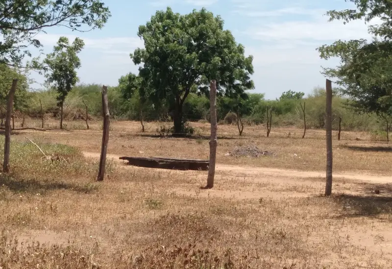 Campaña de reforestación en la comunidad de El Jordán para impulsar la conciencia ambiental y frenar la tala inmoderada de árboles.
