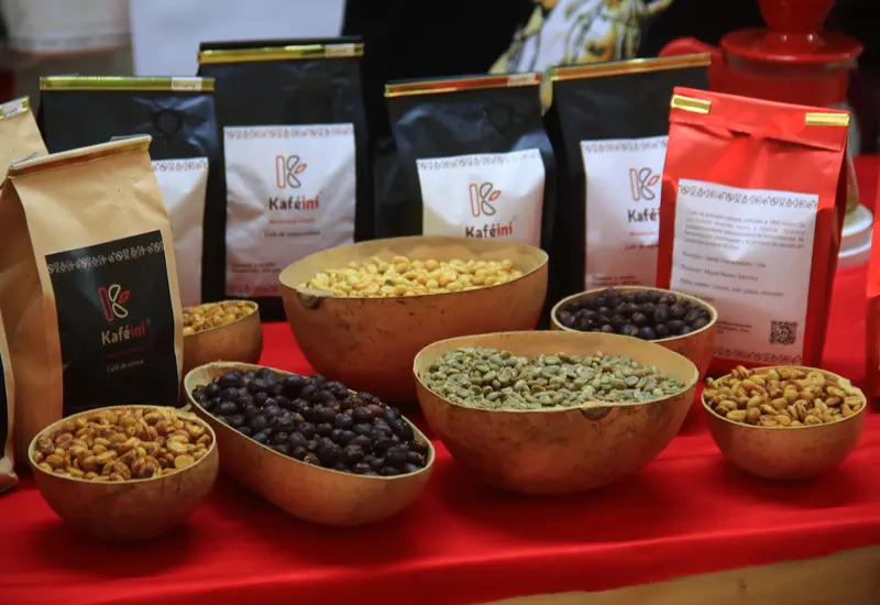 La producción de café en Oaxaca enfrenta una situación compleja.
