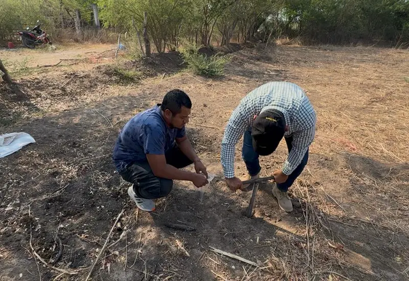 Alertan que malas prácticas agrícolas están dejando suelos improductivos.