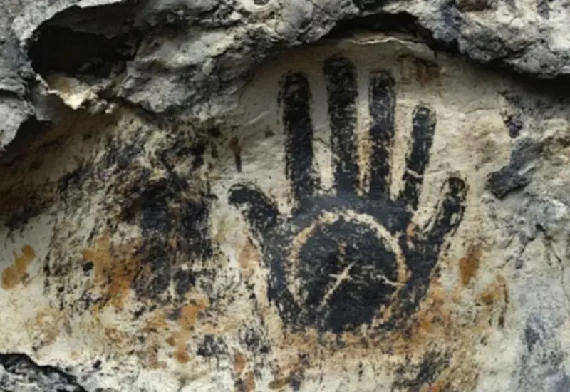 Especialistas trabajaron en una cueva localizada cerca de Waitomo.