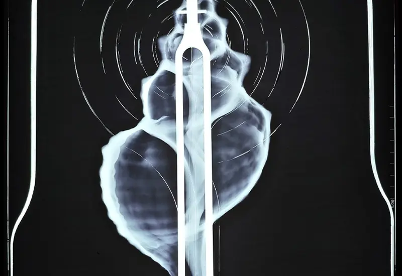  La obra ganadora “Resonancias” se presentará en exposición en el Centro Fotográfico Manuel Álvarez Bravo.