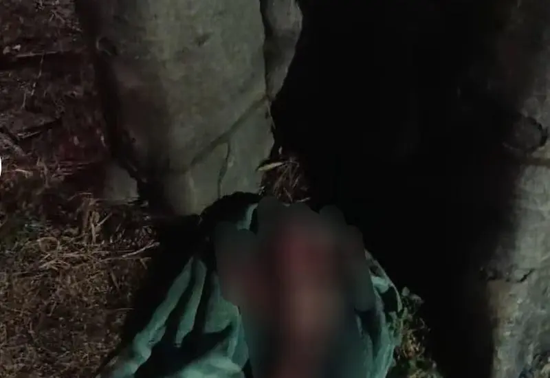 La bebé fue abandonada esta madrugada.
