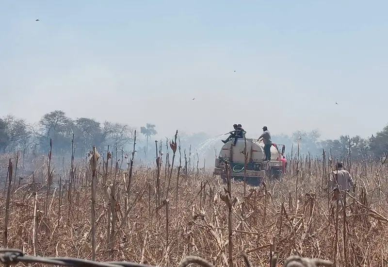 Temporada de incendios: Protección Civil recuerda evitar quemas de pastizales.