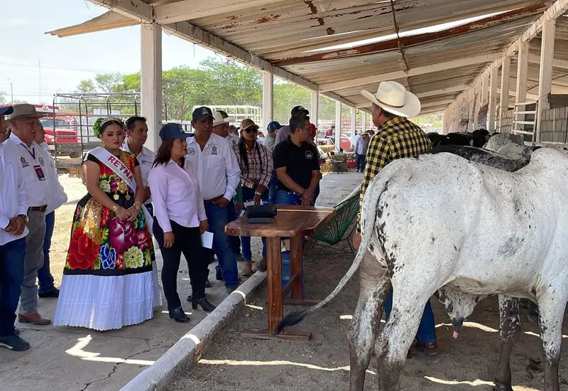 La Unión Ganadera Regional del Istmo de Tehuantepec (UGRIT) confirma la cancelación de la Expoferia Ganadera en Juchitán debido a problemas de organización.
