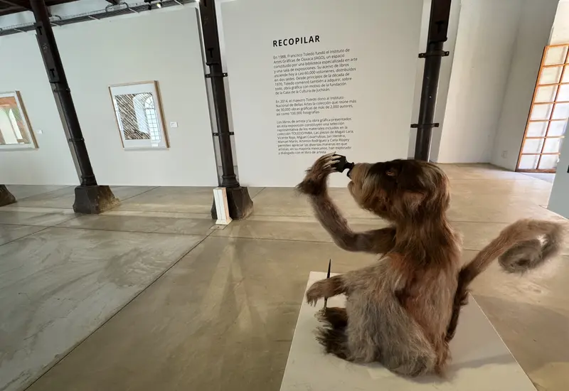Una vista de la exposición de arte 'Variaciones del papel. Capítulo III: Recopilar y editar' instalada en una de las salas del CaSa.