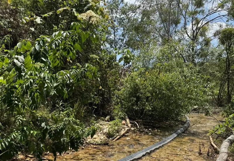 La obra impactará casi 100 hectáreas de cultivo.