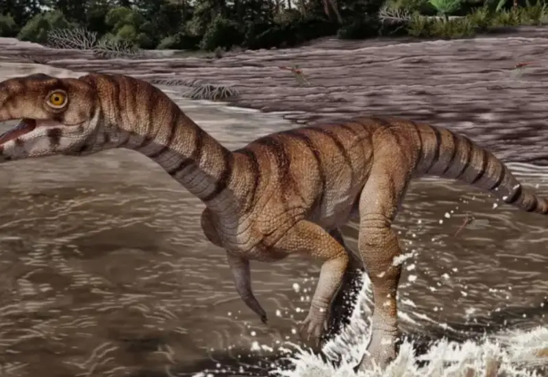 Una reconstrucción artística de Labrujasuchus expectatus, el cocodrilo prehistórico con forma de dinosaurio que vivió hace unos 212 millones de años.