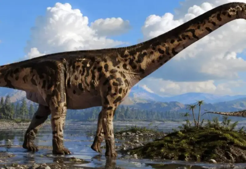 El saurópodo medía cerca de 20 metros de longitud.