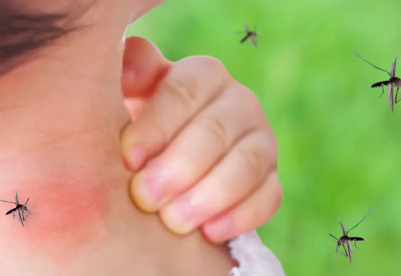 Dengue golpea Oaxaca: fallece un niño y activan alerta por criaderos domésticos.