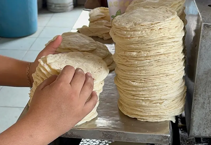 Un kilo de tortillas de maíz recién hechas, cuyo precio ha subido hasta 28 pesos en localidades del Istmo de Tehuantepec, afectando la economía.