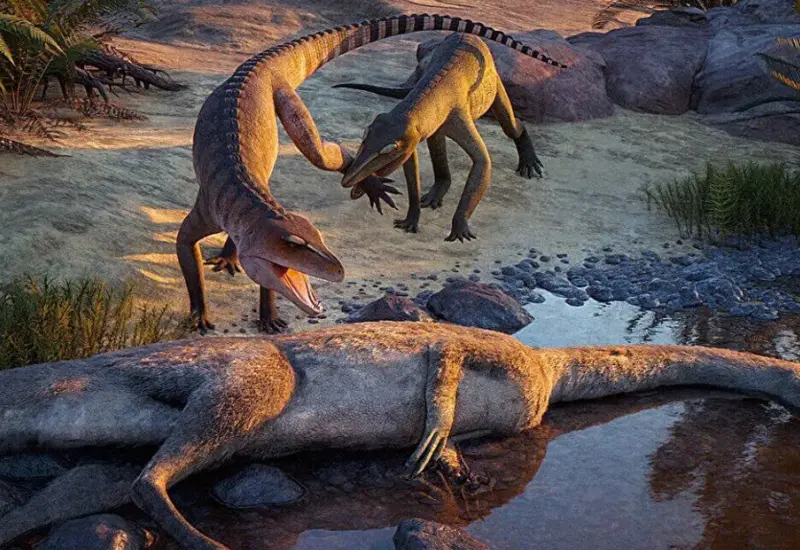 El fósil de un depredador antiguo, primo del cocodrilo, hallado en el yacimiento de Ghost Ranch que data del período Triásico.