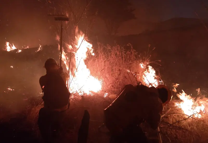 Un incendio forestal devasta una zona boscosa en Oaxaca, estado que ocupa el segundo lugar nacional en afectaciones por estos siniestros.