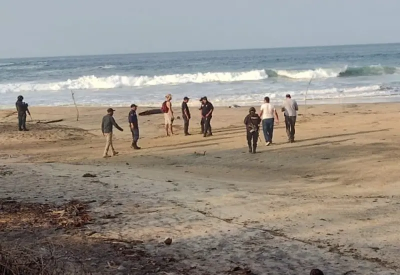 Una mujer fue asesinada a puñaladas en la Playa Aragón, perteneciente al municipio de San Pedro Pochutla, en la costa de Oaxaca.