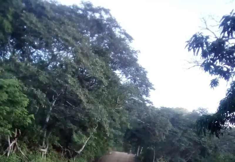 Habitantes de la Chontal alta rezan a San Isidro Labrador para pedir la llegada de las lluvias que darán inicio al ciclo agrícola.